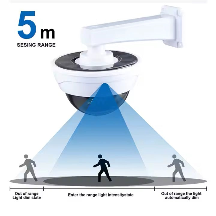 Détecteur solaire