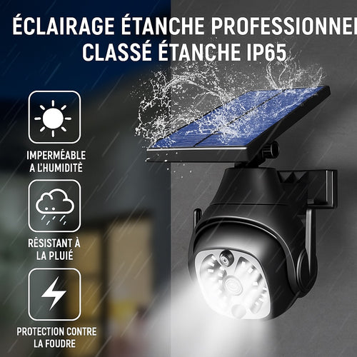 Détecteur solaire simulateur caméra