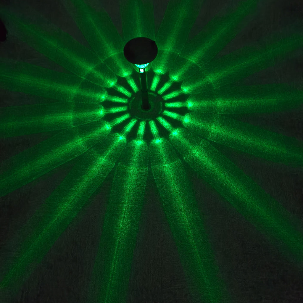 Lumière de jardin (lot de 2)